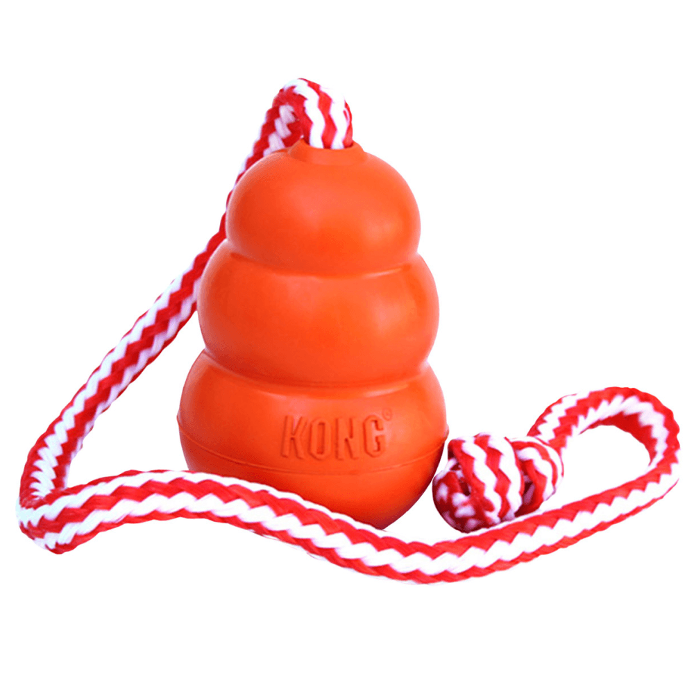 Kong Aqua L 10X7Cm Orange