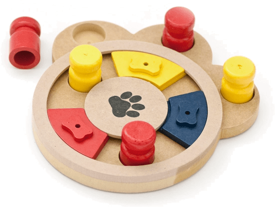 Active Canis Brain koiran aktivointilelu