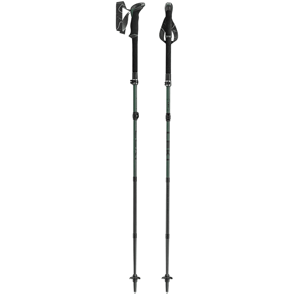Leki Makalu FX Carbon Natural carbon/Malachite Green/Black