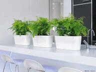 Lechuza Delta 20 altakasteluruukku, valkoinen (All-in-One)