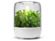 Fiskars Kitchen Garden pöytäpuutarha