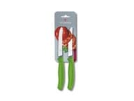 Victorinox yleisveitsisetti, 2 kpl