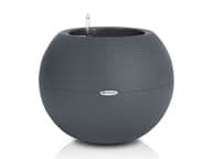 Lechuza Puro Color 20 Altakasteluruukku, harmaa (All-In-One)