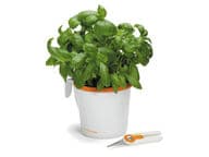 Fiskars yrttiruukku L ja yrttisakset