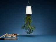 Boskke Sky Planter medium yrtinsäilyttäjä, valkoinen