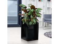 Lechuza Cursivo Premium 30 Altakasteluruukku, musta (All-In-One)