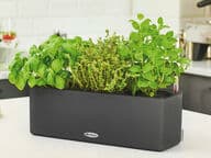 Lechuza Cube Triple 40 Altakasteluruukku, tummanharmaa (All-In-One)