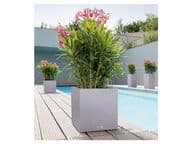 Lechuza Canto 40 Altakasteluruukku, harmaa (All-In-One)