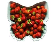 Sagaform Perhoskulho