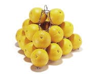 Leopold Vienna Hedelmäpyramidi