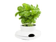 Sagaform suuri yrttiruukku