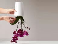 Boskke Sky Planter Recycled Medium, valkoinen