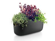 Eva Solo Altakasteleva Yrttilaatikko, musta