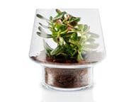 Eva Solo Lasiruukku mehikasveille, Ø 21 cm