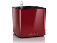 Lechuza Cube Glossy 16 Altakasteluruukku, kiiltävä punainen (all-in-one)