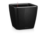 Lechuza Quadro Premium 50 Altakasteluruukku, musta (All-In-One)