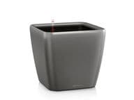 Lechuza Quadro Premium 50 Altakasteluruukku, harmaa (All-In-One)