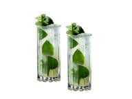 Riedel DSG Highball Drinkkilasit, 2 kpl