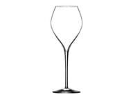 Lehmann Glass Jamesse Premium Samppanjalasi 28 cl, 6 kpl