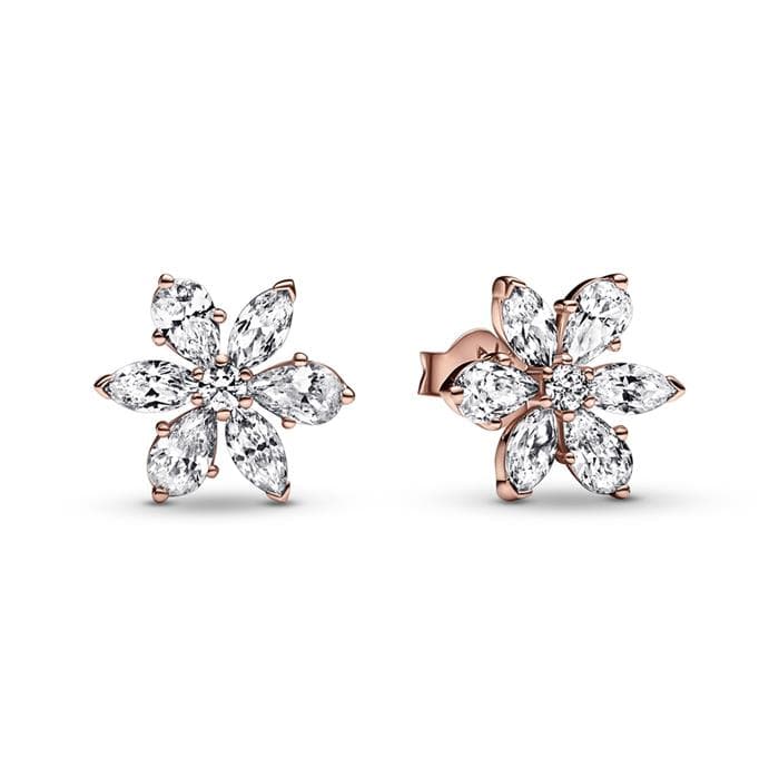 Pandora Timeless Sparkling Herbarium Cluster korvakorut 282407C01