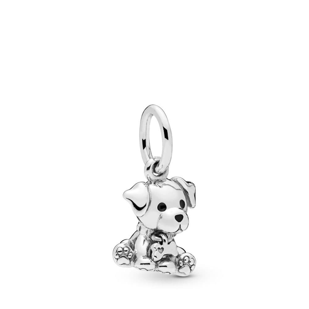 Pandora Labrador Puppy -hela 798009EN16