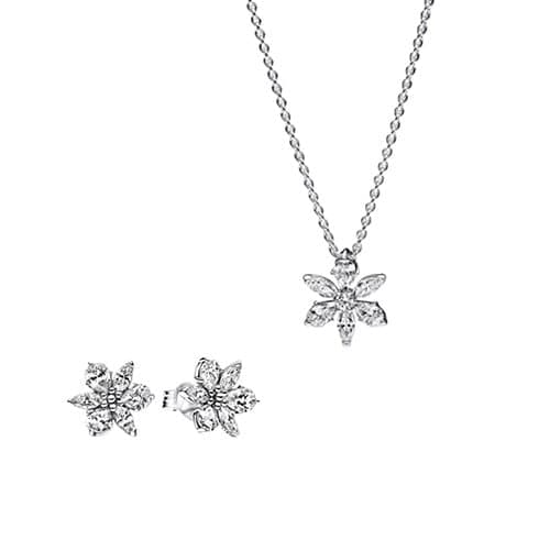 Pandora Timeless Sparkling Herbarium Cluster korusetti, kirkas