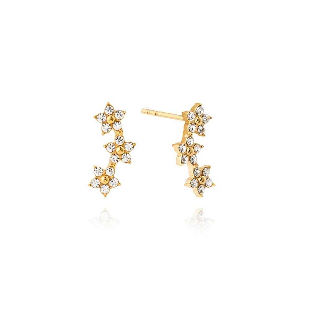 Mockberg Ellie Gold korvakorut MB2078