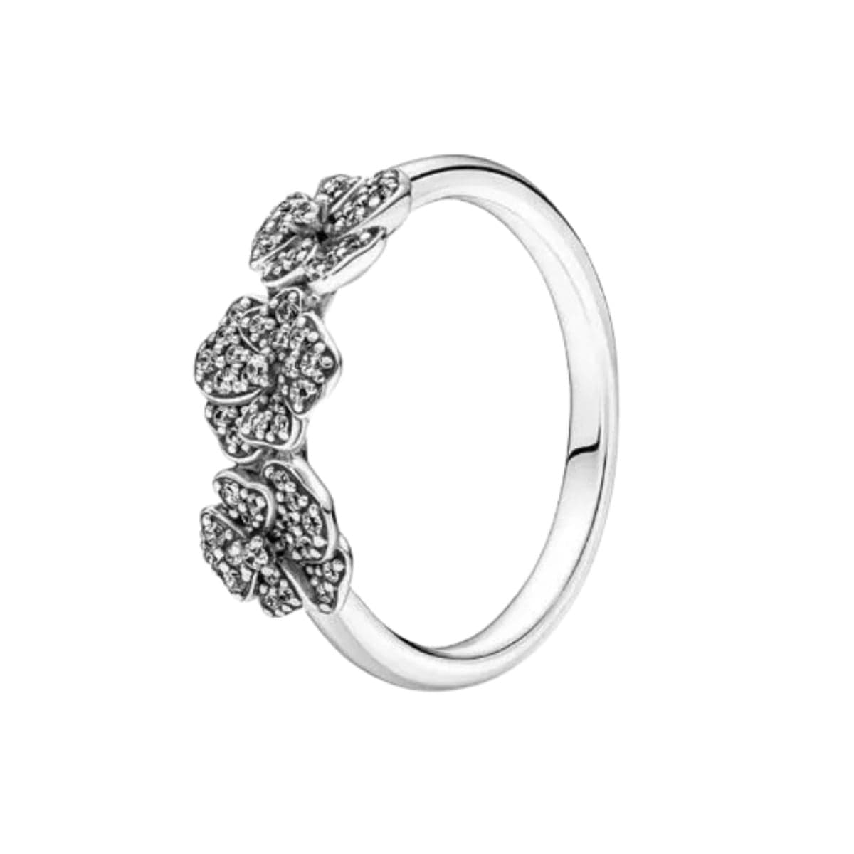 Pandora Moments Hopeasormus 190786C01