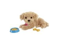 Scruffies Feed and treat Charlie puppy