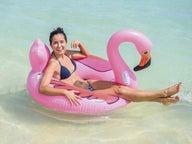 Flamingo Vesisohva