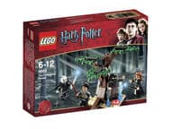 LEGO Harry Potter TM Kielletty metsä