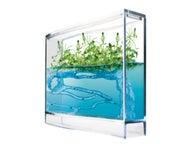 Super Antquarium