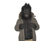 Gorilla asu