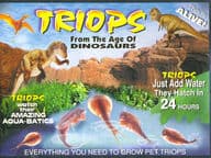 Triops