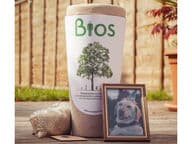 Uurnapurkkipuu lemmikille