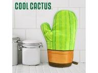 Cactus patakinnas