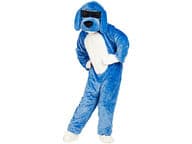 CoolDog jäätävänsininen koira-asu