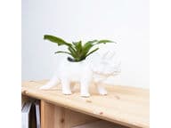 Dinosaurus-ruukku (Tricerapot)