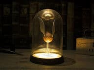 Harry Potter Kultasieppivalaisin