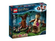 LEGO Harry Potter 75967 Kielletty metsä: Pimennon kohtaaminen