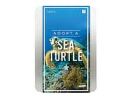 Adoptoi oma merikilpikonna