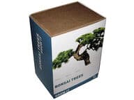 Bonsain kasvatuspaketti