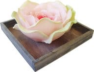 Jättiruusukynttilä (2 kpl)