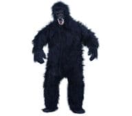 Gorilla-asu