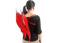 Naispaholaisen siivet