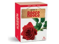 Omat ruusut kasvatuspaketti