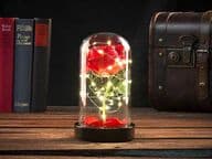 Elegantti Ruusu LED-valaistuksella lasikuvussa