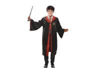 Harry Potter Rooliasu