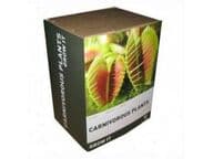 Lihansyöjäkasvin kasvatuspaketti