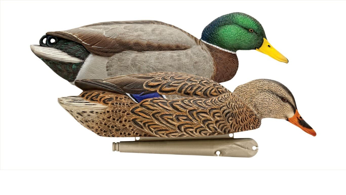 Avian-X Back Water sorsakaaveet